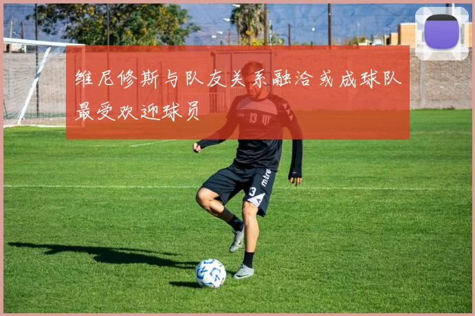 维尼修斯与队友关系融洽或成球队最受欢迎球员