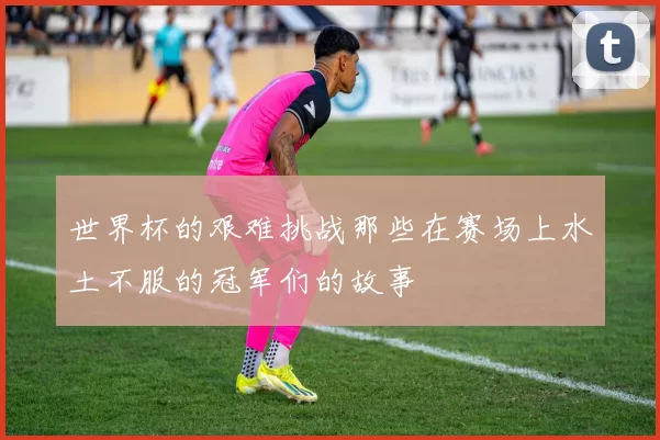 世界杯的艰难挑战那些在赛场上水土不服的冠军们的故事